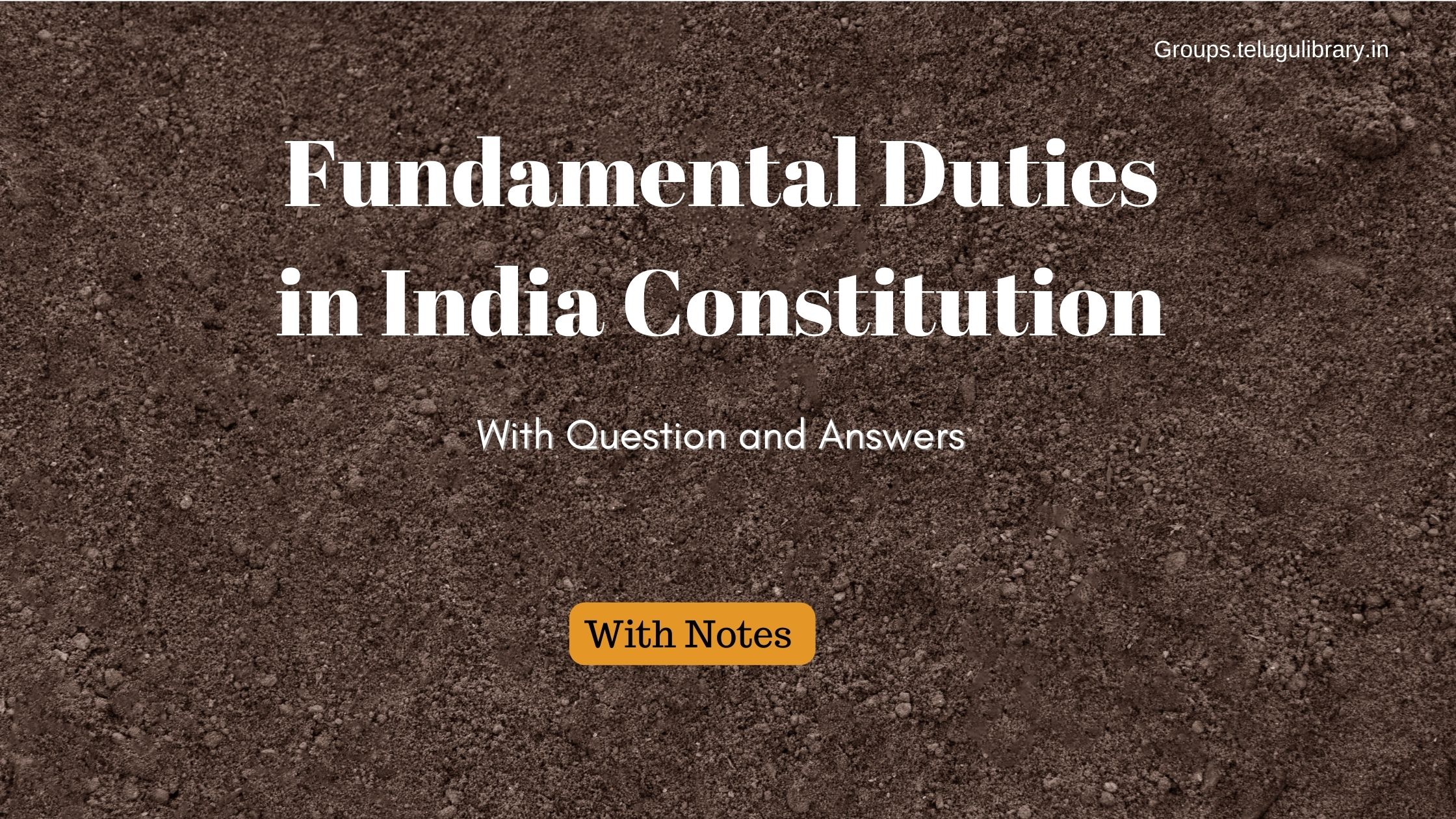 What are Fundamental Duties